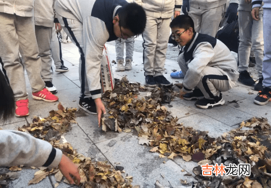 太滑稽！收作业成收树叶？某高中要求学生交20元树叶费，官方回应