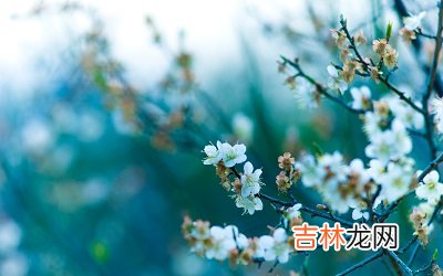 姓名测试,2020年1月15日腊月二十一是不是适合结婚领证的好日子?