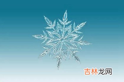 生辰八字解读,2020年平安夜生日的人是什么星座,平安夜出生性格好吗？