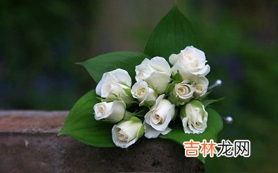 算命婚姻,2020年正月初七可以出殡？出殡有什么讲究？