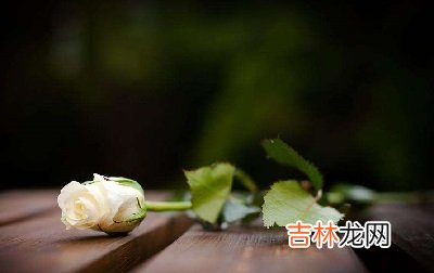 周易算命,2020庚子鼠年正月初五可以出殡吗？初五卦象好吗？