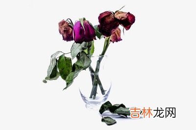 八字测算,2020年正月初一春节可以出殡吗？大年初一禁忌