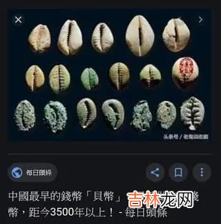 佛教常用的钱贝
