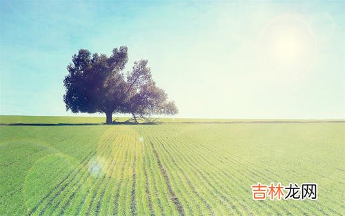 八字算命,住宅风水—2020年尖角煞房屋住宅应该如何化解？