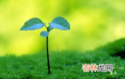 算命婚姻,2020年正月十一日立春适合祭祖吗？立春三候解析