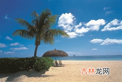 免费算命婚姻,2020年感恩节酉时出生什么命喜用神是什么?