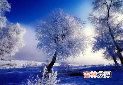 运势预测,2020年冬至后一天出殡好不好,三九天是什么意思？