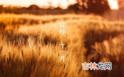 生辰八字算命,2020年十一月初三感恩节丑时出生喜用神是什么？