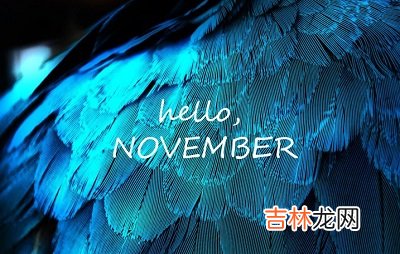 算命大师,2020己亥年11月28日感恩节巳时出生命好不好？