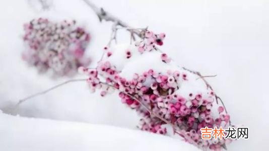 婚姻预测,大雪时节出生的女宝宝旺父母吗，2020年大雪节气出生宝宝命运解析！