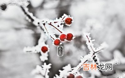 算卦,2020年冬至节气卯时出生喜用神是什么?
