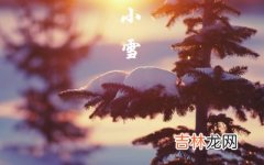 生辰八字算命,2020己亥年小雪节气寅时出生什么命喜用神是什么？