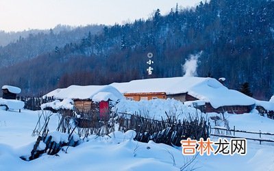 生辰八字算命,2020己亥年小雪节气寅时出生什么命喜用神是什么？