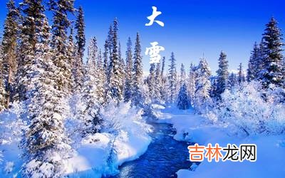 紫微斗数,2020己亥年大雪节气酉时出生喜用神是什么？