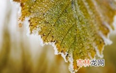 姓名测试,2020猪年大雪节气辰时出生喜用神是什么？