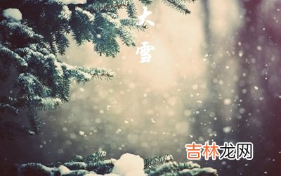 紫薇命盘,2020猪年12月7日大雪午时出生什么命喜用神是什么？