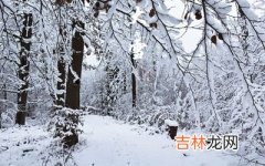 紫薇命盘,2020猪年12月7日大雪午时出生什么命喜用神是什么？