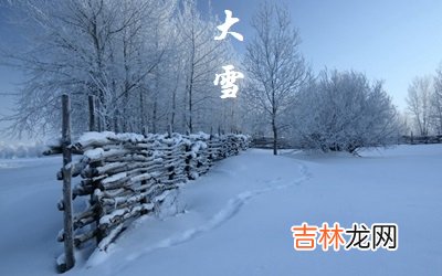 命运分析,2020猪年大雪节气戌时出生喜用神是什么？