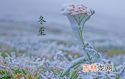 免费八字算命,2020冬至夜是哪一天？冬至是很重要的节日吗？