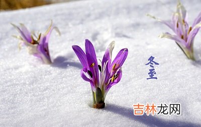 算卦,2020年冬至日子好不好?冬至时间要怎么算?