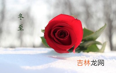 八字测算,2020年冬至节气子时出生的人喜用神是什么？