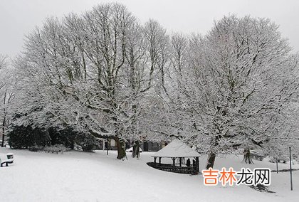 姓名测试打分,2020年大雪后一天忌讳嫁娶办酒席吗,2020结婚祝福语推荐！