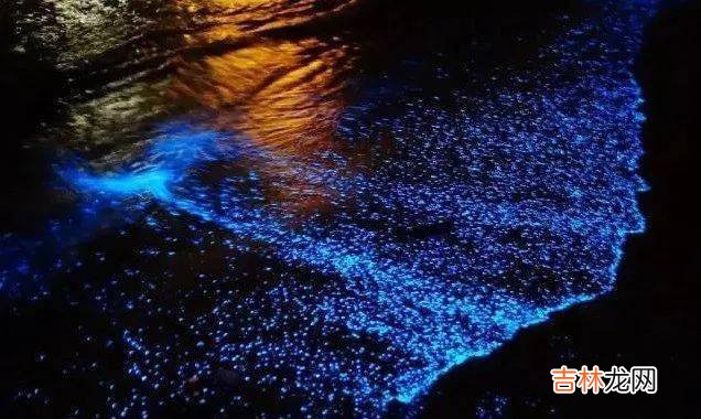 教育拷问，不止于诺奖 | 头条