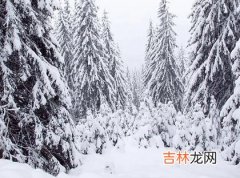 八字测算,2020年12月7日大雪是安葬逝者吉日吗,2020大雪出现雾凇吗？