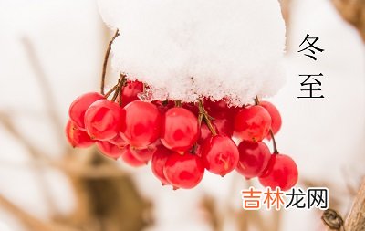 免费测字,2020猪年冬至节气酉时出生喜用神是金吗怎么看？