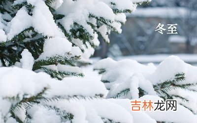 紫薇命盘,2020己亥猪年冬至戌时出生的人喜用神是什么？