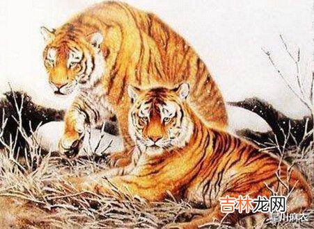 家有哪些生肖，年龄越大福气越多，家中子女孝顺，旺运不断