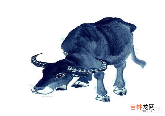 家有哪些生肖，年龄越大福气越多，家中子女孝顺，旺运不断