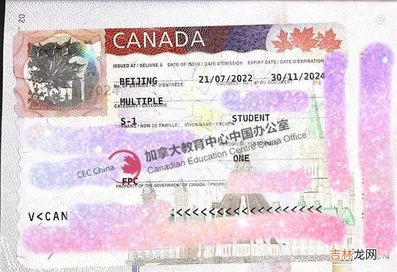 76年出生现年46岁的D女士，成功申请加拿大留学！孩子免费入读中小学！