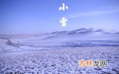 周易算命,2020年小雪节气戌时出生喜用神是金吗？