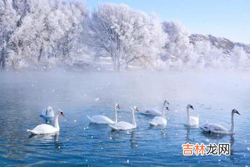 在线测字,冬至2020年是什么时候，冬至上一个节气是大雪吗？