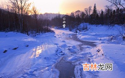 在线算命,2020年11月22日小雪子时出生的人喜用神是什么？