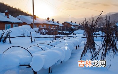 算命大师,2020年11月22日小雪节气卯时出生喜用神是火吗？