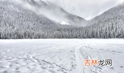 非常运势算命,2020年大雪这天胎神占方在什么方位,2020大雪节气同房好吗？