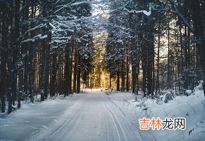 非常运势算命,2020年大雪这天胎神占方在什么方位,2020大雪节气同房好吗？