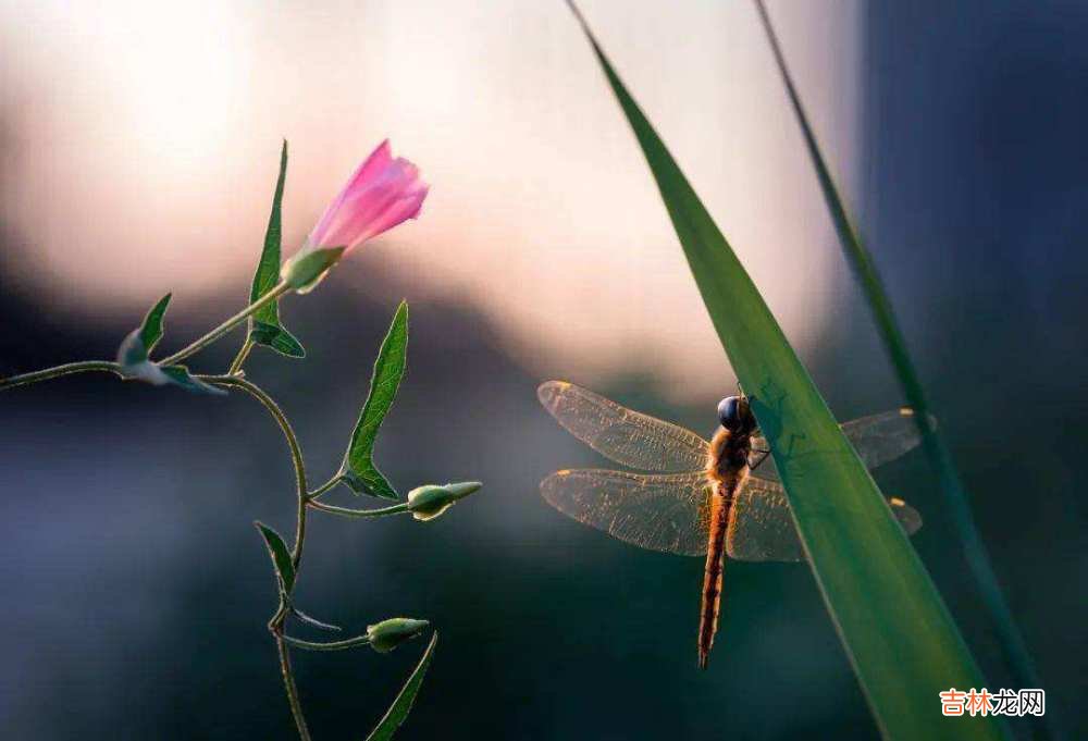 余生，请把生活过成“节能模式”