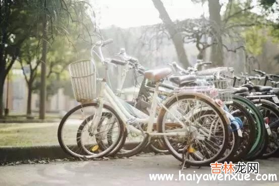 申城的早春 那么单车少年你好,单车少年再见