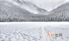 八字算命,2020年大雪后一天开业不吉利吗,12月8日不能开张吗？