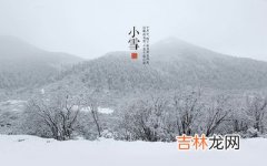 算命大师,2020年11月22日小雪未时出生的人喜用神是什么？