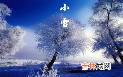 免费测字,2020猪年小雪节气午时出生什么命喜用神是什么？