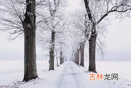 测字算卦,2020年大雪后一天是不是黄道吉日,大雪节气微信祝福语2020版
