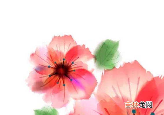2020年12月出生的孩子是什么命,命中正财偏财旺盛