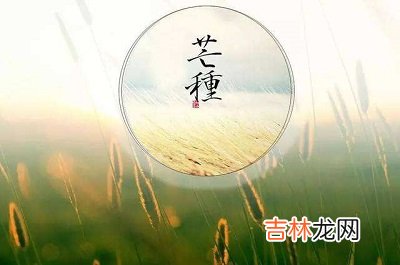 生肖鼠的人出生在芒种命运如何呢？芒种有什么说法与讲究