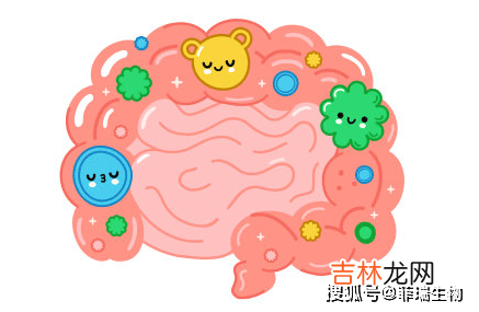 孕期可以吃益生菌吗？一定要弄清真相