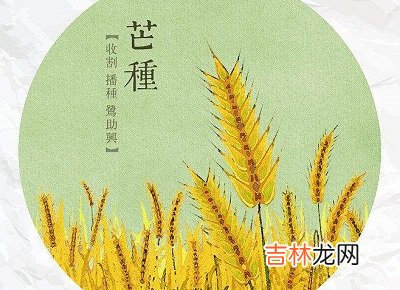 芒种节气要注意什么？芒种节气出生的属羊人命运如何？