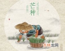 芒种节气要注意什么？芒种节气出生的属羊人命运如何？